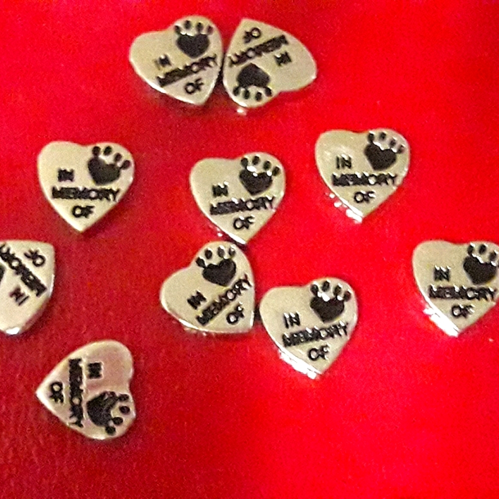 Floating charms bundle - Picture 9 of 9